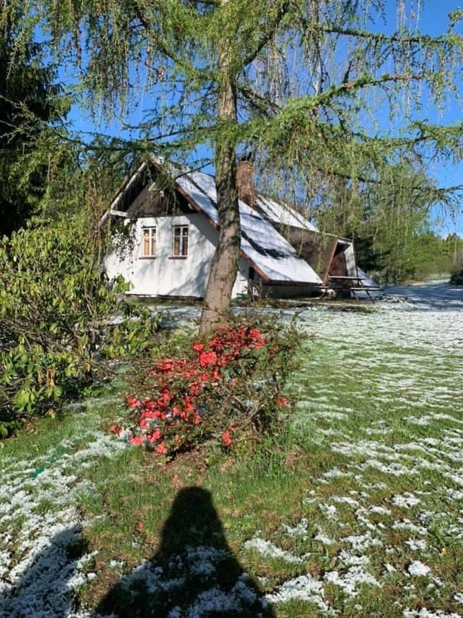 Chata Sedmidomi Lučany nad Nisou Extérieur photo